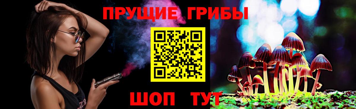 Галлюциногенные грибы Cubensis  Вход с VPN  Моршанск 
